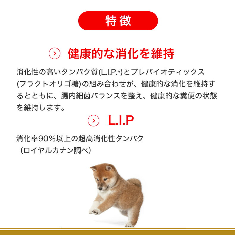 楽天市場】【2/25(水)限定！抽選で最大100%P還元※要ｴﾝﾄﾘｰ｜LINE追加で