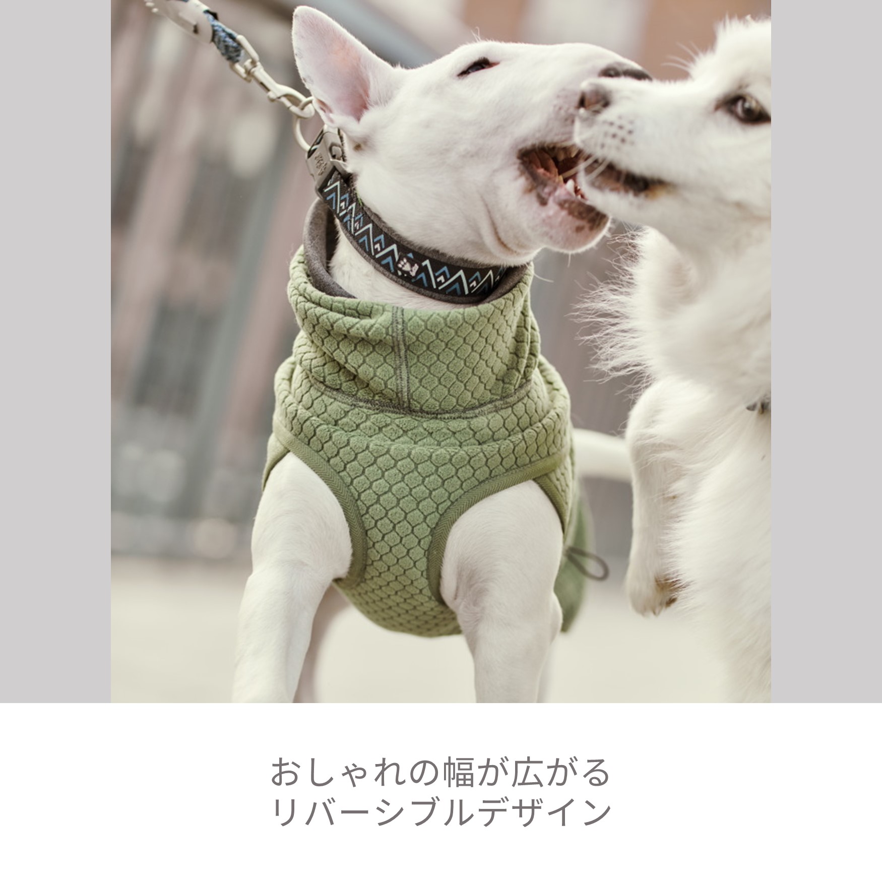 楽天市場】フィンランドのドッグブランド【Hurtta】【フルッタ