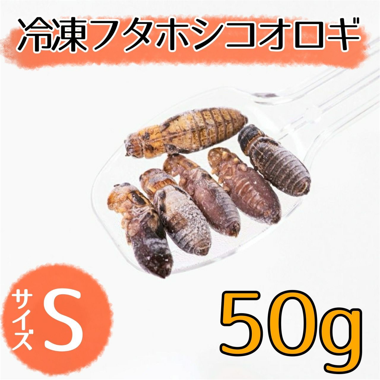 NEW【冷凍餌】フタホシコオロギ S 50g | 月夜野ファームの通販
