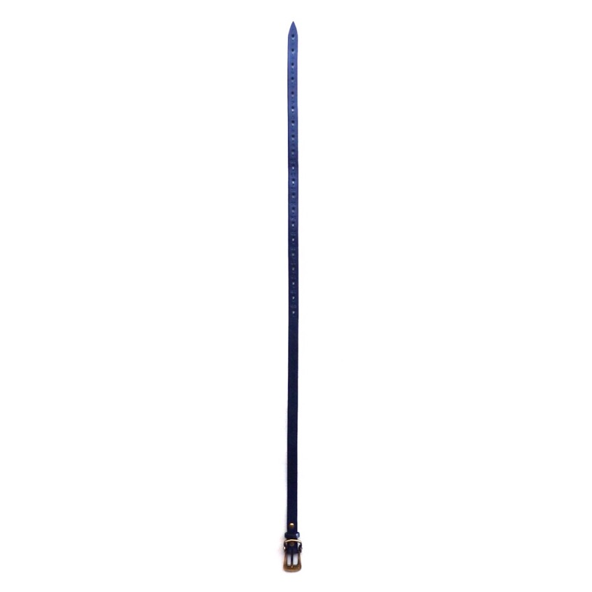 Porter Classic (LEATHER BELT) Color：Blue - TRAMPS/トランプス