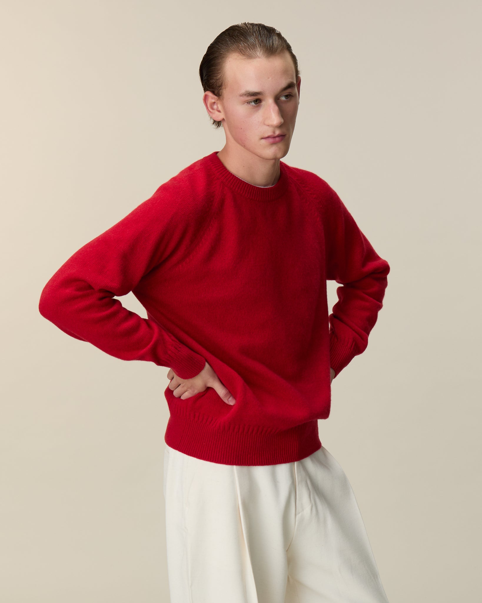 Crewneck cashmere sweater Red Men | Tricot