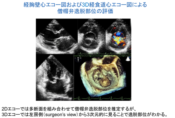 東京女子医科大学循環器内科