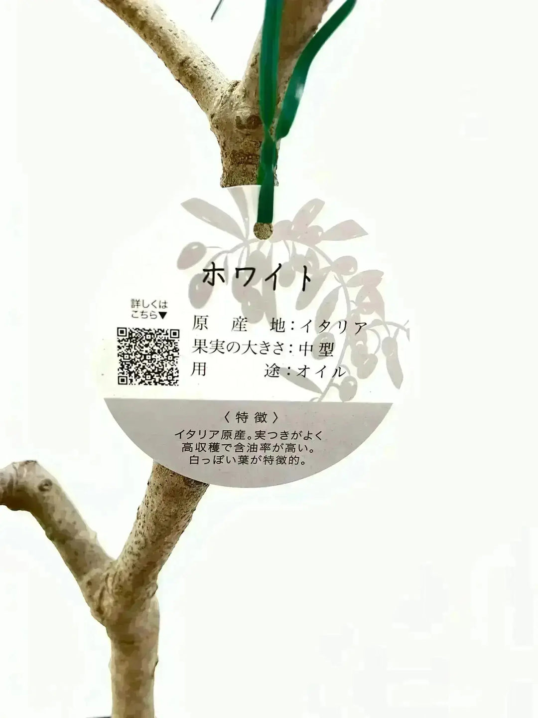 ef59394167c91209ee7da1a75d48eb