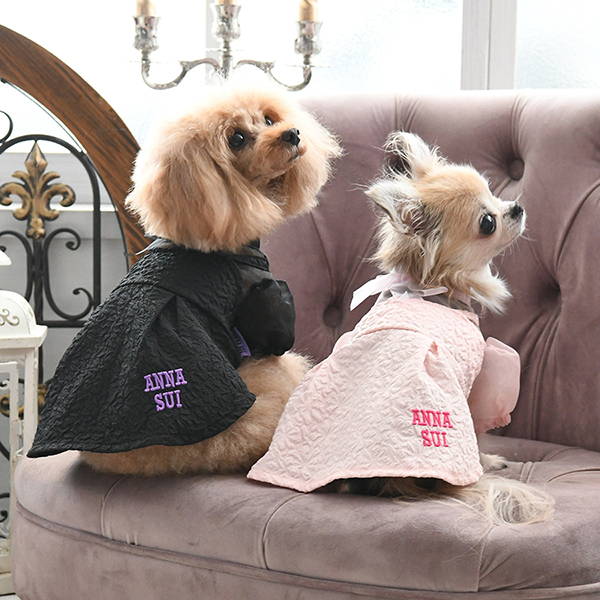 dog wear