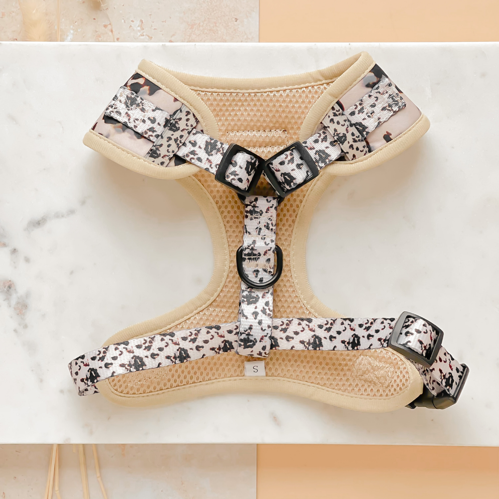 Ivory Tort Adjustable Neck Dog Harness | Cocopup London