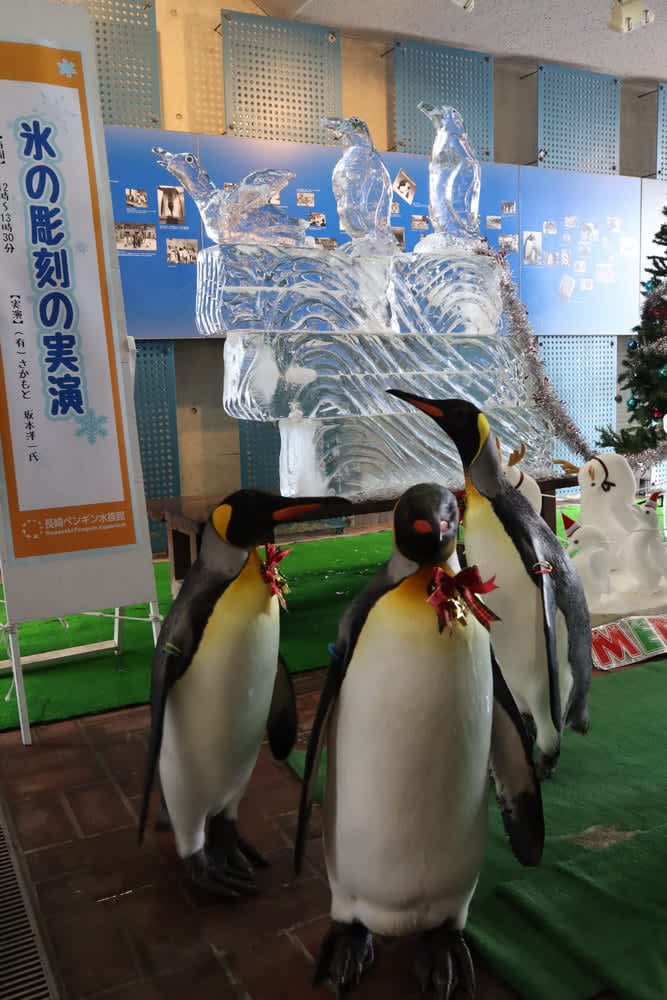 氷のペンギン 本物と1日限定コラボ 長崎ペンギン水族館 - 長崎新聞