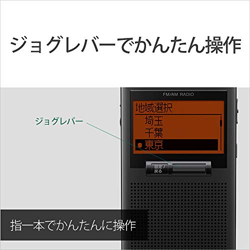 Sony PLL Synthesizer Radio SRF-T355 : FM/AM/Wide FM Single