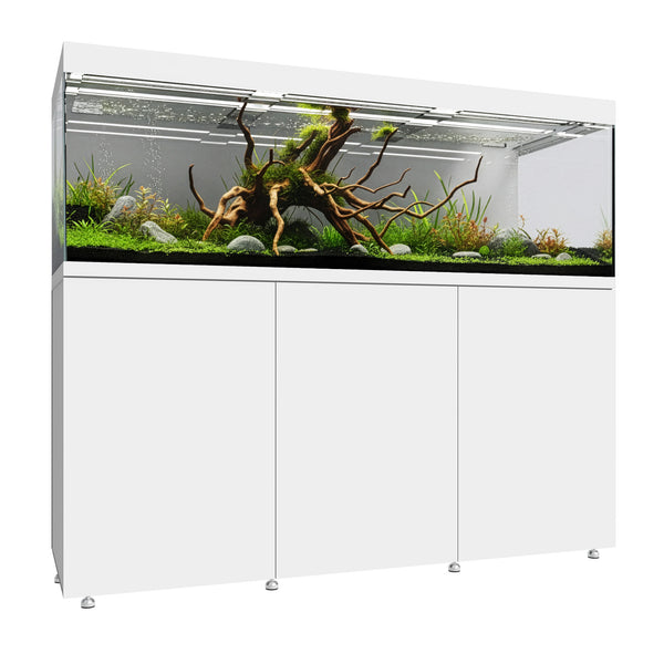 EDEN175.WHITE_grande.jpg?v=