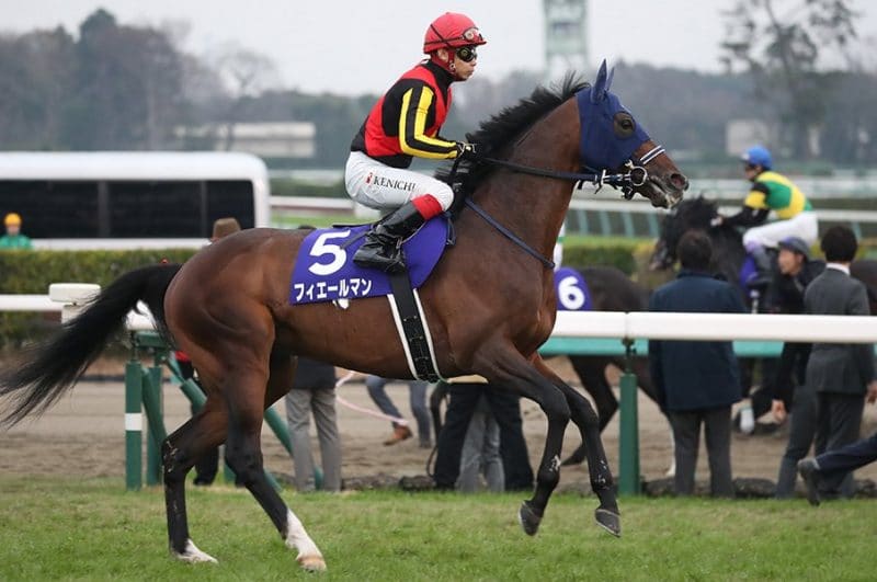 競馬の血統理論5つと馬券購入に活用する方法を紹介！ | 血統を勉強して
