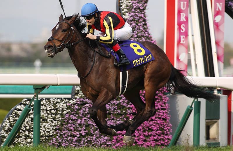 グランアレグリア（Gran Alegria） | 競馬データベース | JRA-VAN