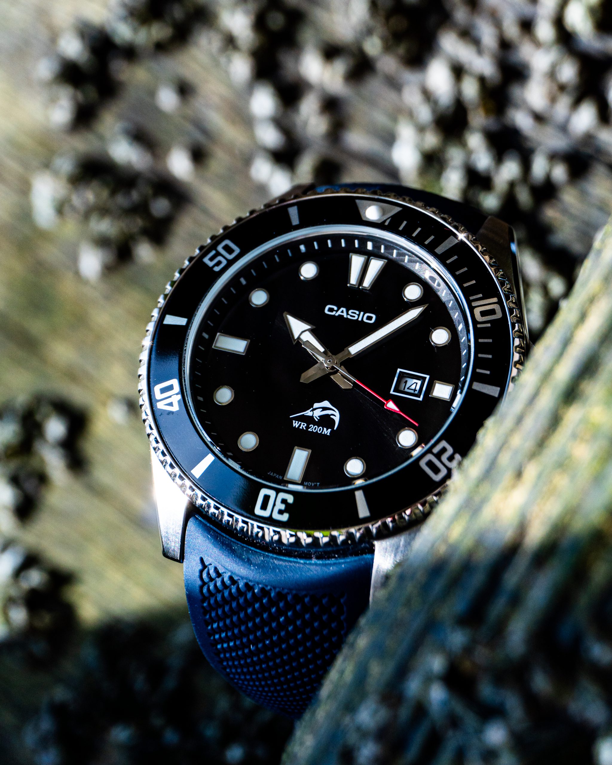 Casio MDV-106 Duro Review - Diving Into The Hype | WristyBizzle