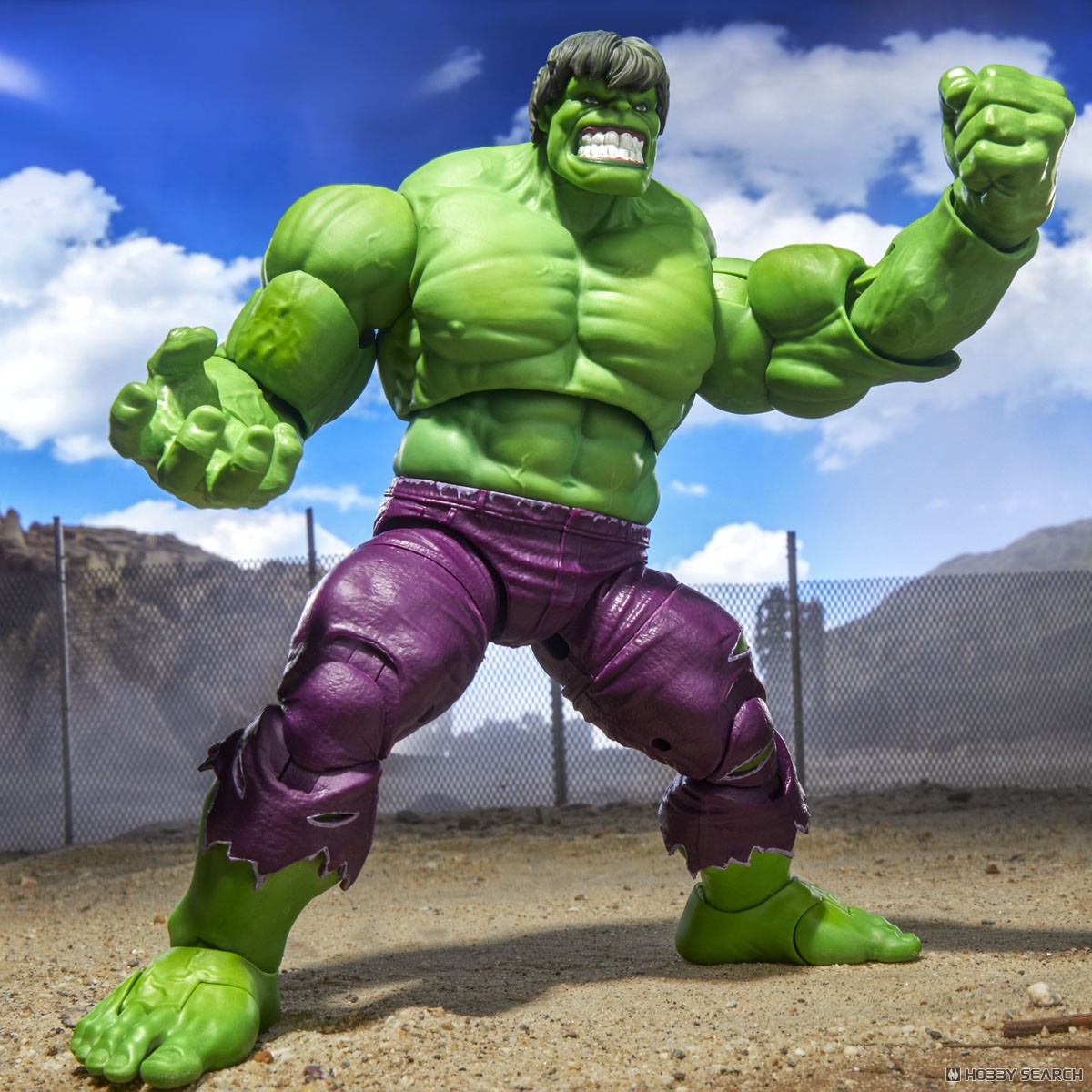 マーベルレジェンド・マキシマムシリーズ ハルク (完成品) - ホビー