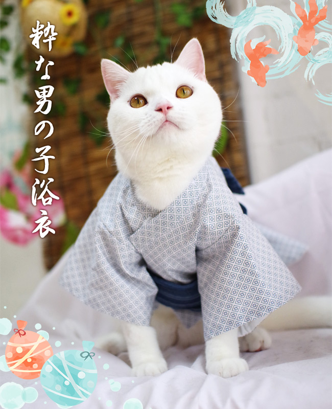 粋な男の子浴衣 | オリジナル猫服 国産 | 猫用品の専門店☆ゴロにゃん