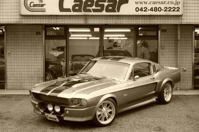 67eleanor-f.jpg