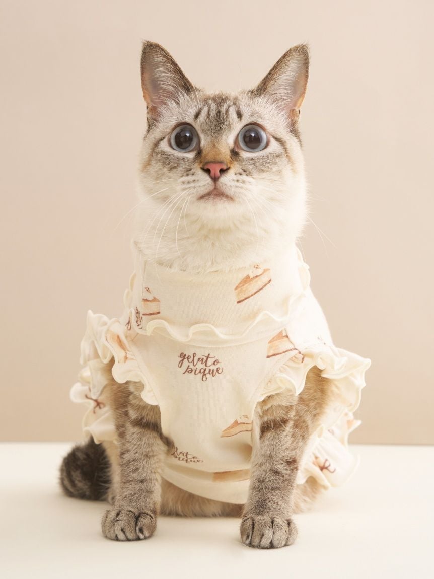 gelato pique（ジェラートピケ）【CAT&DOG】【販路限定商品】オータム