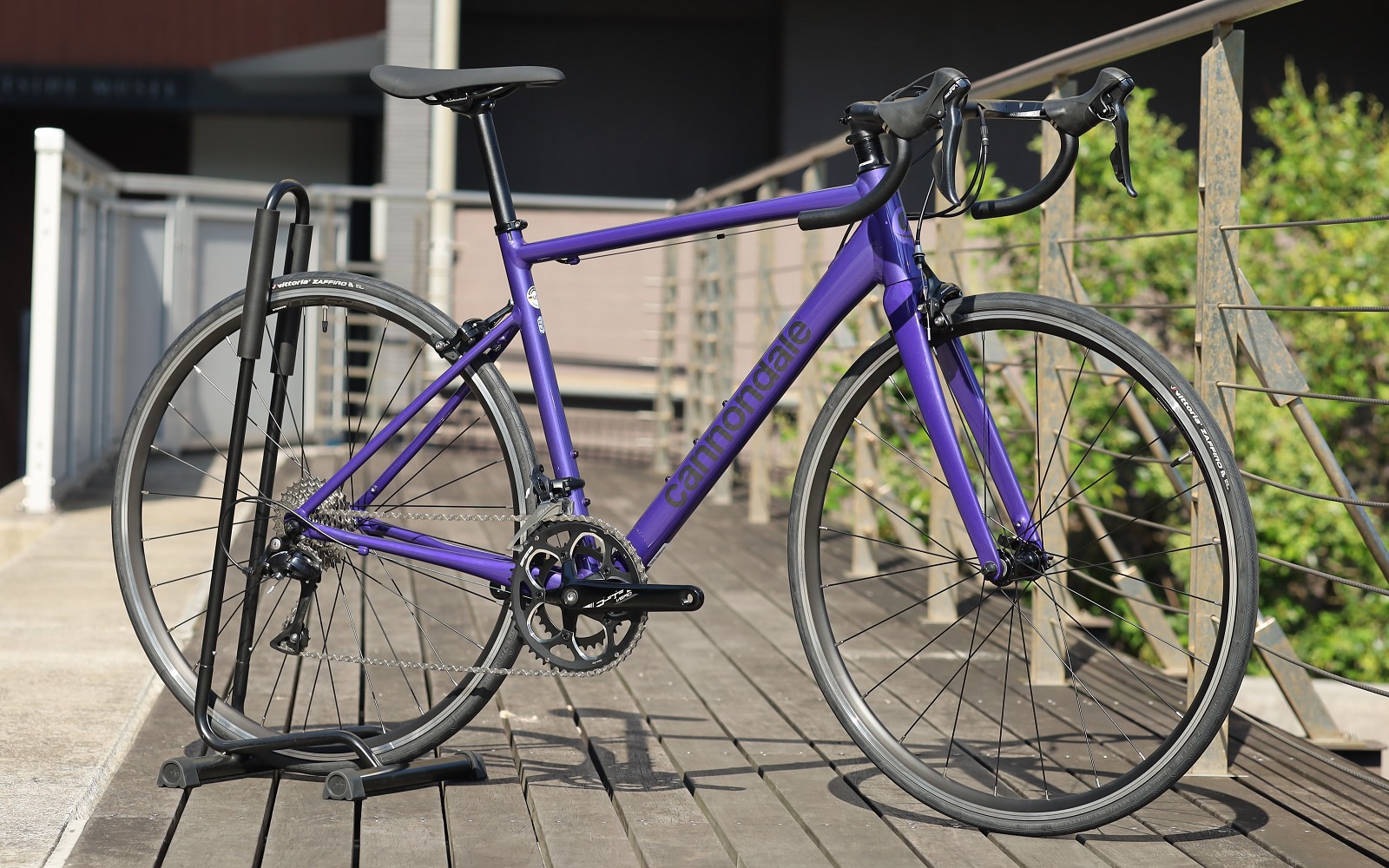 3月, 2025 | キャノンデール横浜