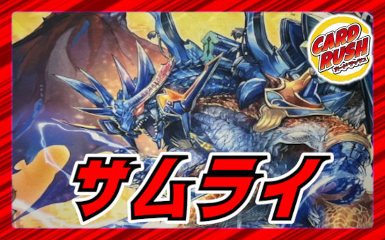 状態A-〕スリーブ『[DXカードプロテクト ]絶望のドラグハート