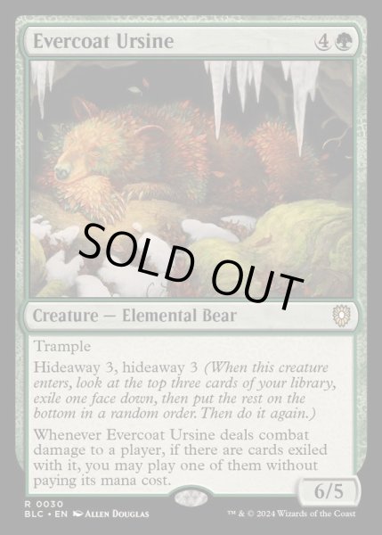 常緑皮の熊/Evercoat Ursine《英語》【BLC】