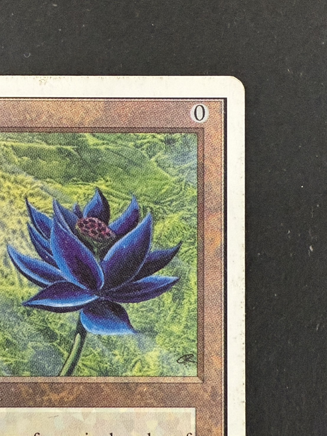 PLD]Black Lotus《英語》【2ED】#237
