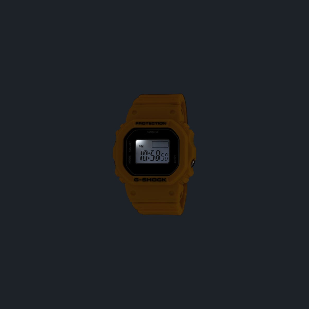 DWN-5600-9JR | CASIO