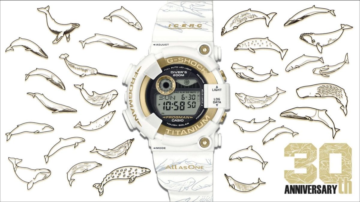 GW-8201K-7JR | CASIO