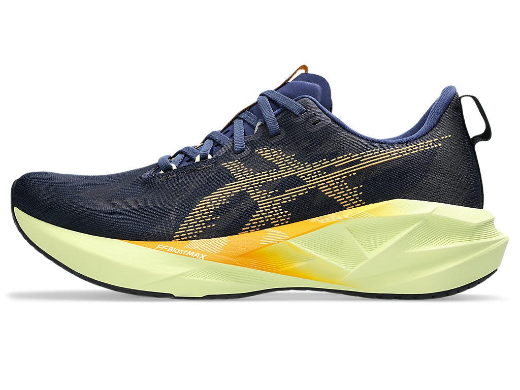 ASICS NOVABLAST 5 PERFORMANCE RUNNING SHOES FOR MEN