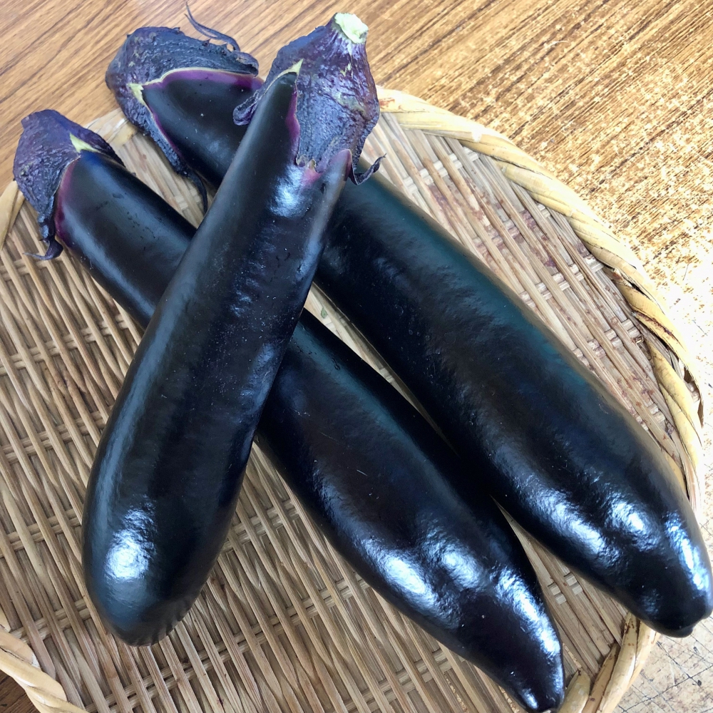 ふわトロ長なす｜あすか夢販売所の商品｜あすか夢販売所