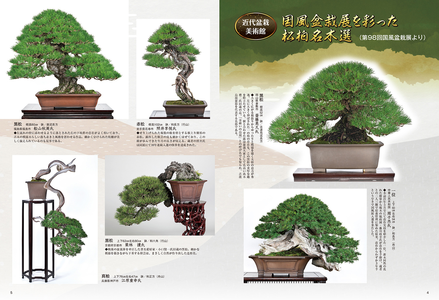 月刊「近代盆栽」2024年6月号 | 盆栽、盆栽書籍、盆栽鉢の通販│近代出版