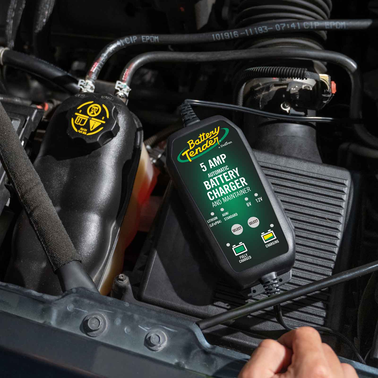 5 AMP Power Tender® 12V/6V Battery Charger | Battery Tender®