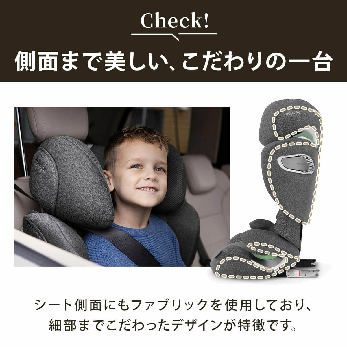 サイベックス ソリューションT アイフィックス セピアブラックプラス