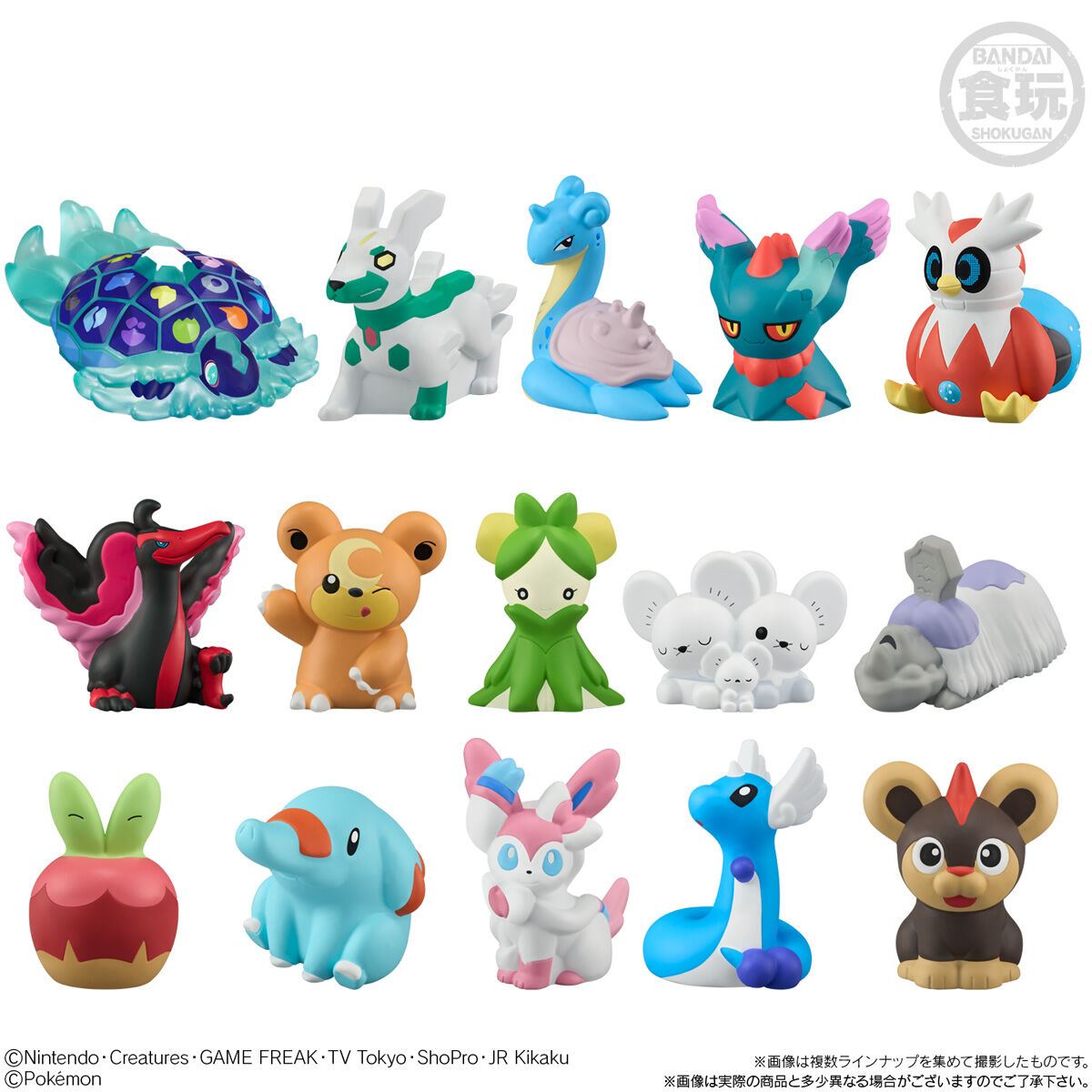 ポケモンキッズ テラパゴス編｜発売日：2025年5月26日｜バンダイ