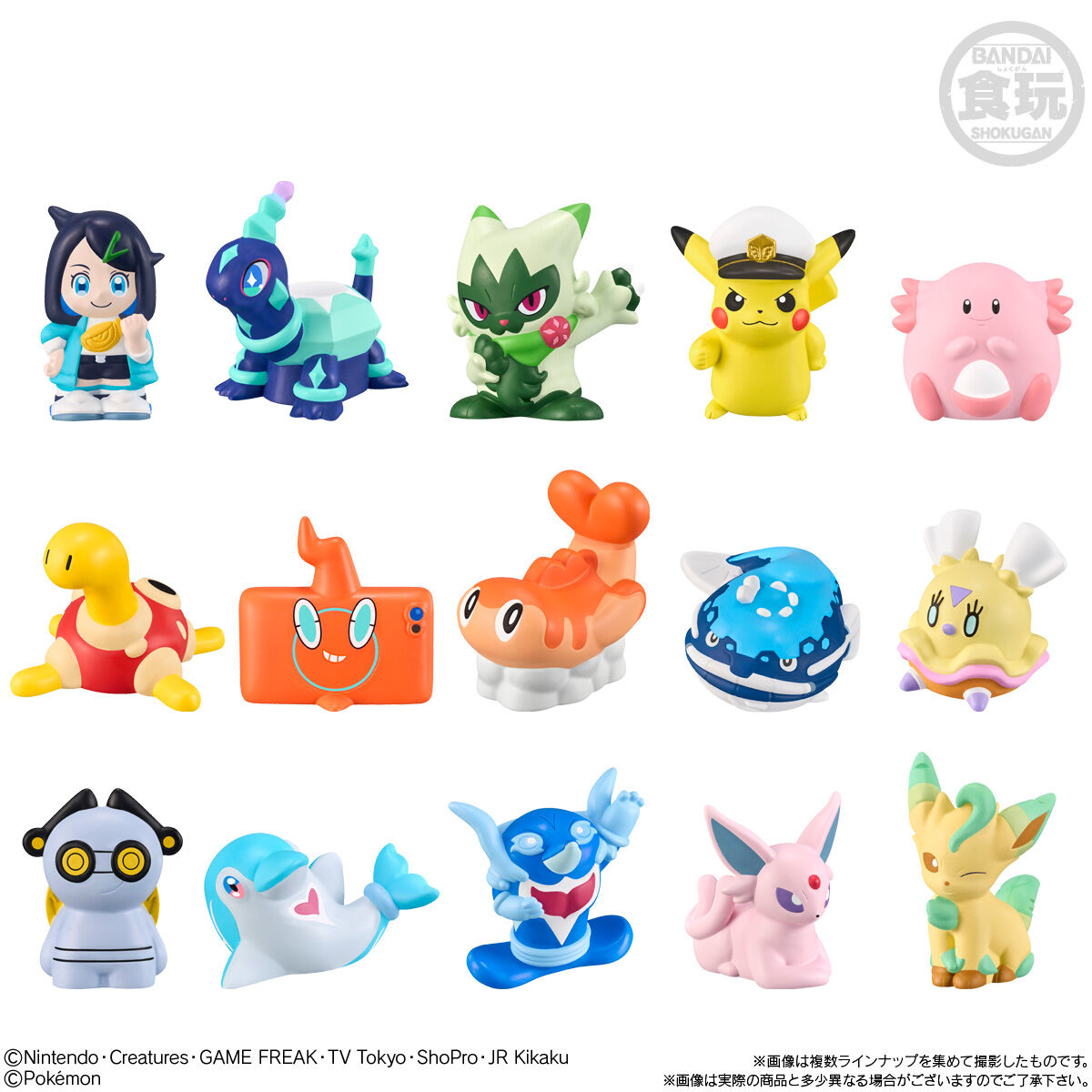 ポケモンキッズ リコと旅の仲間たち編｜発売日：2024年8月26日