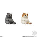 もっちりころりん♪ ねこ｜発売日：2025年2月17日｜バンダイ