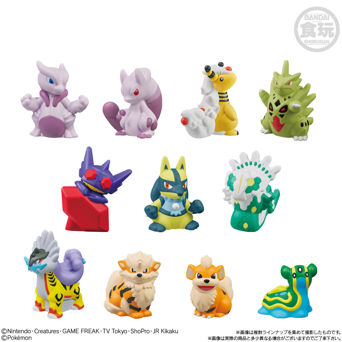 ポケモンキッズ メガミュウツーX&メガミュウツーY編｜発売日：2025年11