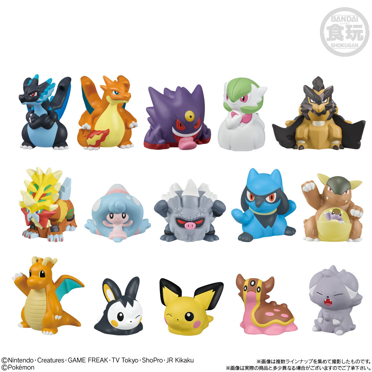 ポケモンキッズ メガリザードンX&メガリザードンY編｜発売日：2025年8