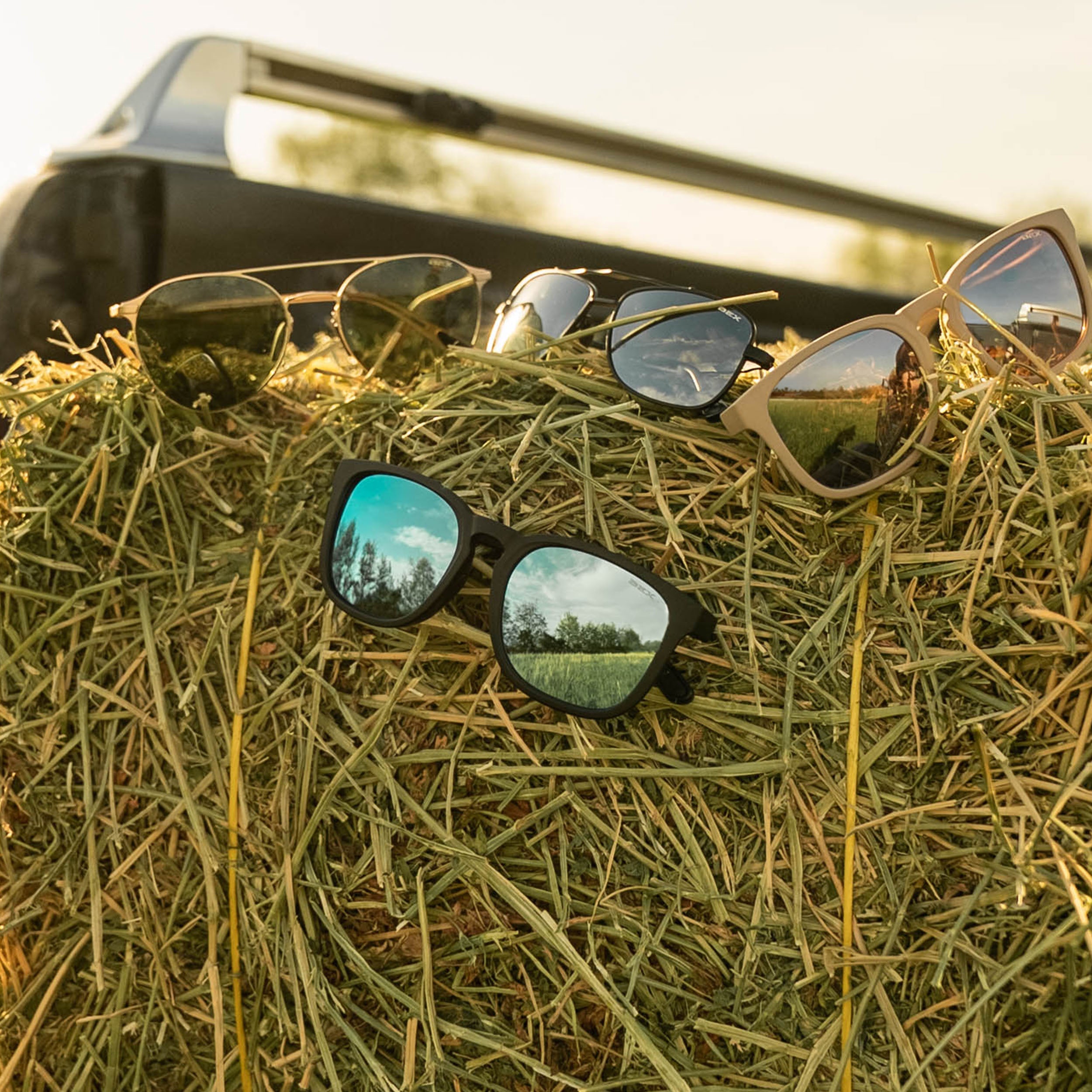 ZION – BEX® Sunglasses