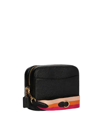Coach Mini Camera Bag With Diary Embroidery | Brixton Baker