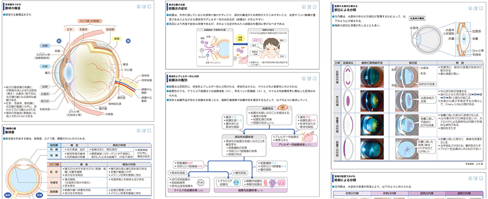 病気がみえる - チーム医療を担う医療人共通のテキスト