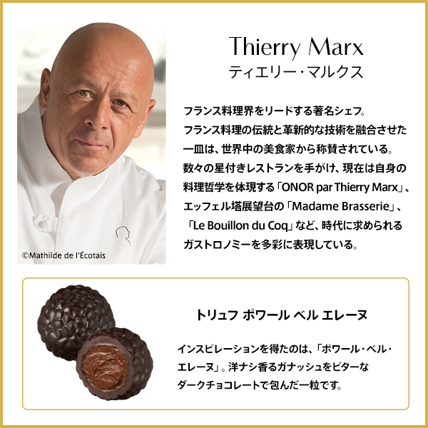 スター シェフ コレクション ジュエル オブ ジ アース（5粒入）