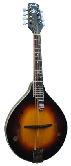 フラットマンドリン～Kentucky Mandolin～【ガッキコム】