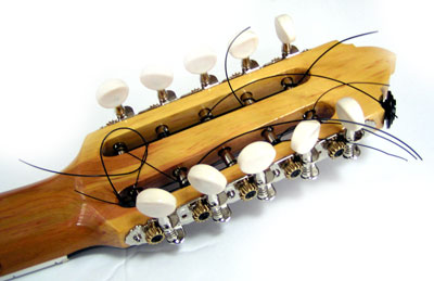 フォルクローレ楽器の販売～チャランゴ（charango）～【ガッキコム】