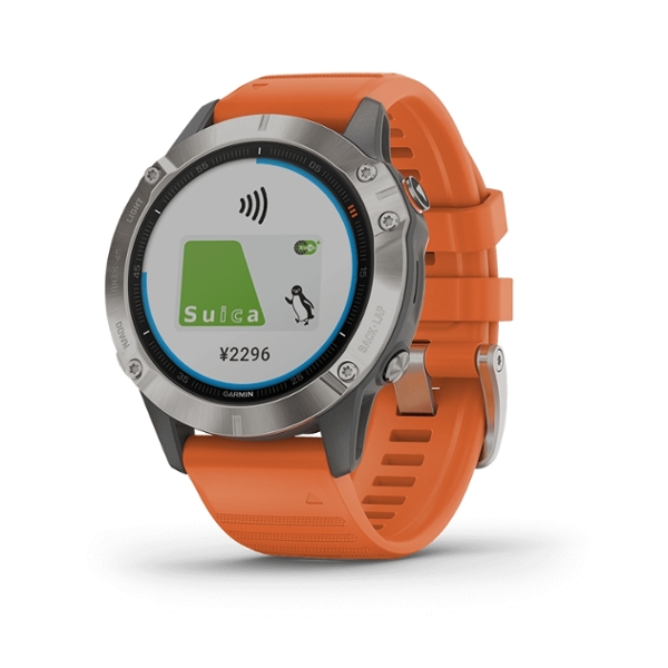 珍品】国内版 GARMIN Varia Vision J 備品完備 Varia Vision™ J