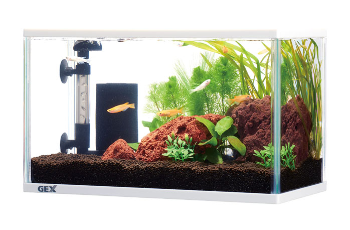 メダカ飼育用品 飼育情報 熱帯魚 観賞魚 アクアリウム用品 ジェックス
