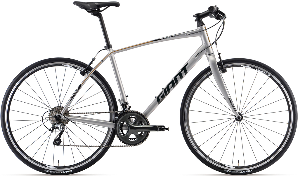 2019 GIANT Bicycles | ESCAPE RX 1