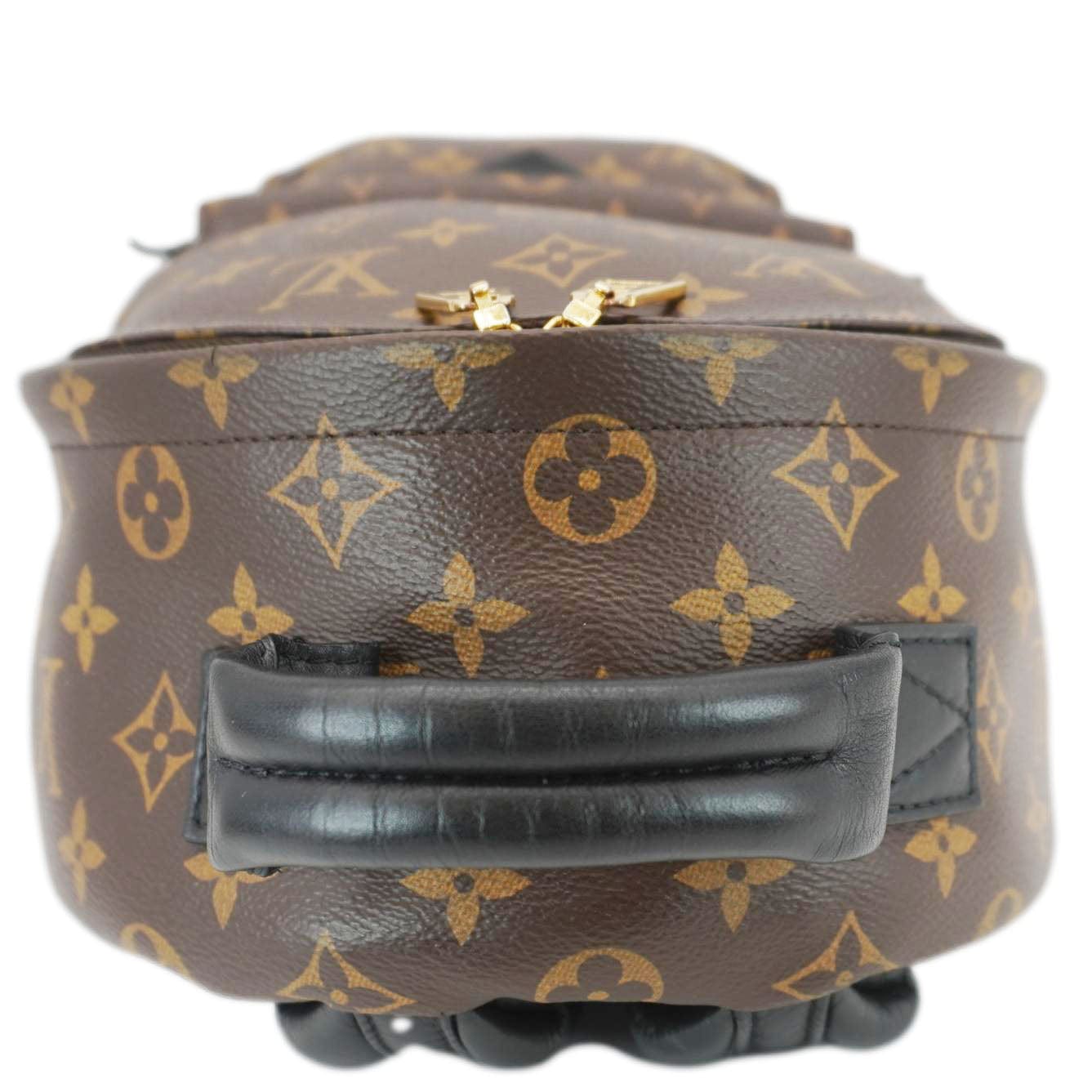 LOUIS VUITTON Palm Springs PM Monogram Canvas Brown Backpack