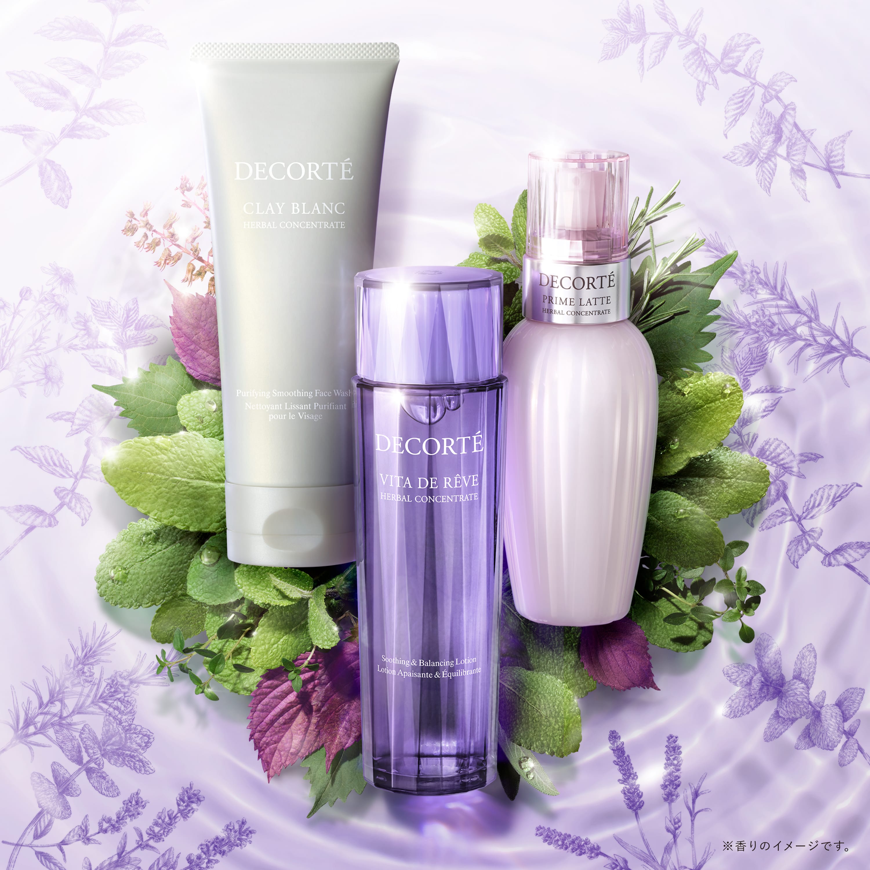 ヴィタ ドレーブ ハーバル ローション ＜150mL＞ | DECORTÉ（コスメ