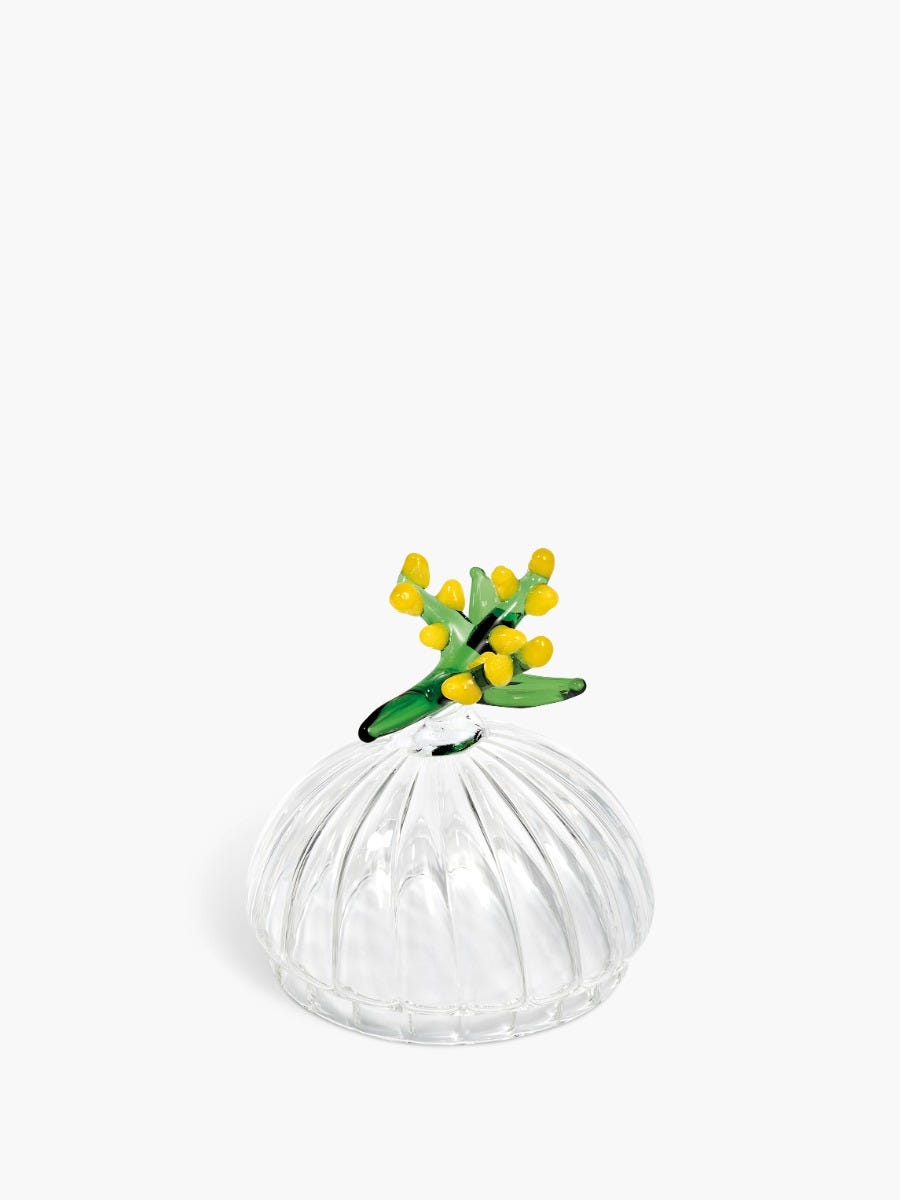 couvercle-herbarium-