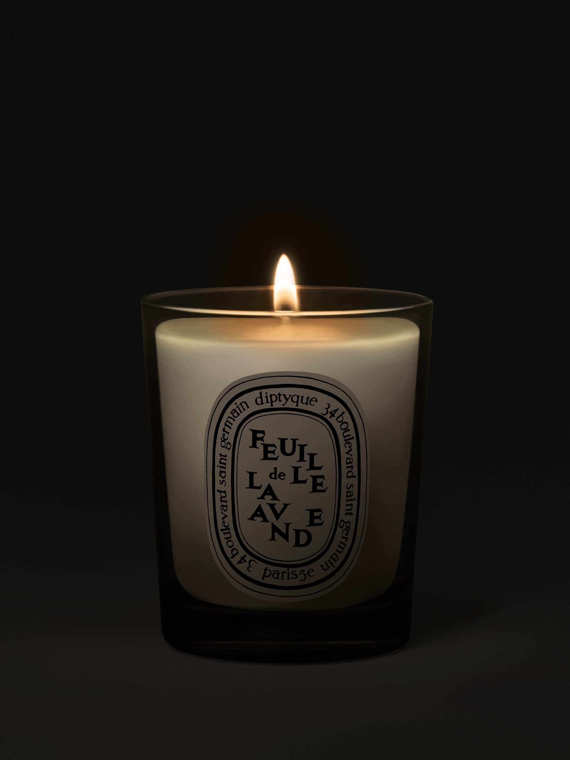 Mousses(Moss) - Classic candle | Diptyque Paris