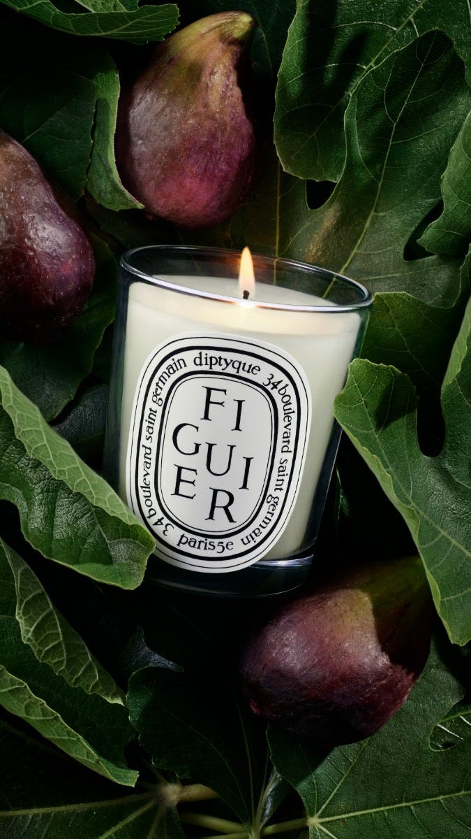 Figuier（フィギエ） - スモールキャンドル | Diptyque Paris