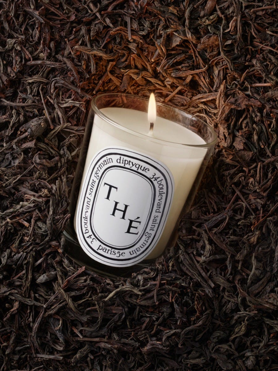 herbier_visuel_the-